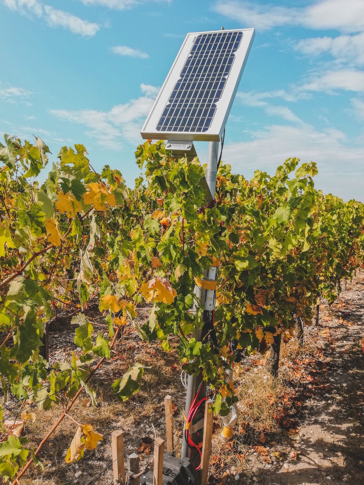 Solar panel powering off-grid equipment in a farm field